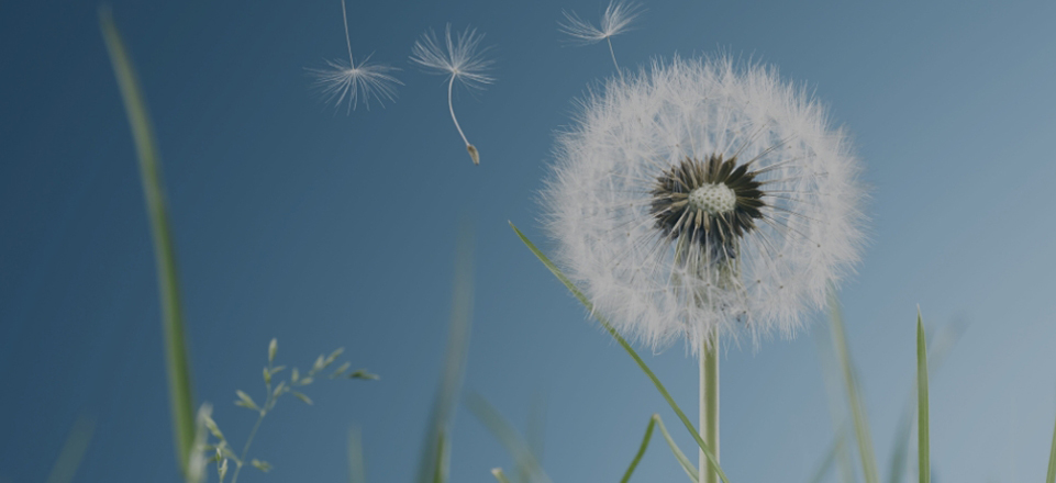 yp街机·电子游戏(中国)最新官网